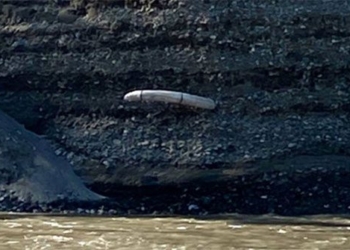 discovery of a woolly mammoth in river 121029