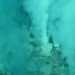 discovery of an ancient oxygen source may have boosted life on earth 122298