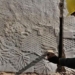 discovery of ancient 2 700 year old mummy in iraq 123754