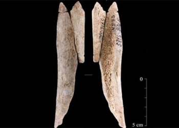discovery of decorative artifacts made from human bones 8 000 years old from ancient humans 121748