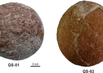 discovery of dinosaur egg unchanged in china 123020