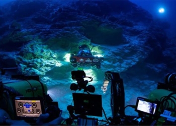 discovery of ecosystem sea snails below 500m depth 123795