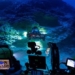 discovery of ecosystem sea snails below 500m depth 123795