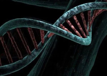 discovery of gene variant with ability to fight covid 19 118394