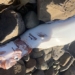 discovery of giant blob in southern philippines 122454