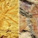 discovery of hundreds of million year old rocks in china 119587