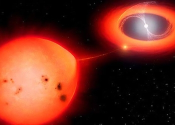 discovery of meat eating stars 3000 years light 123526