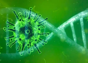 discovery of new variants of ncov with 9 mutations 121527