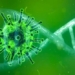 discovery of new variants of ncov with 9 mutations 121527