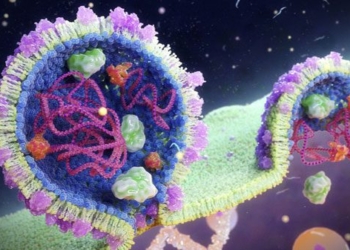 discovery of secret virus dominating oceans around the world 121343