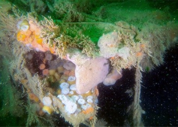 discovery of submarine sinking during world war ii leaks toxic substances 123632