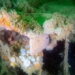 discovery of submarine sinking during world war ii leaks toxic substances 123632