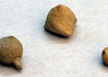 discovery of the 400 year old sample of ninja weapon 118461
