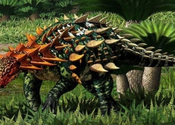 discovery of the longest steel covered dragon species in asia 119434