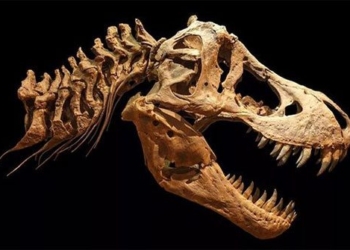 discovery of the most dangerous monster on earth 124266