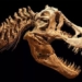 discovery of the most dangerous monster on earth 124266