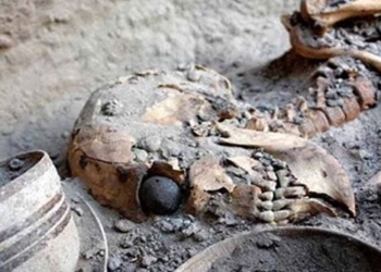 discovery of the oldest coin in the world 120518