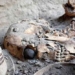discovery of the oldest coin in the world 120518