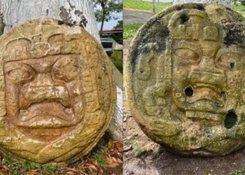 discovery of the phenomenon of mouth nursing in mexico 122466