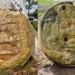 discovery of the phenomenon of mouth nursing in mexico 122466