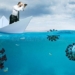 discovery of thousands of new viruses in the ocean 119933
