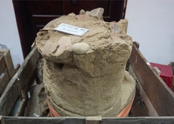 discovery of thousands of years old skeletons in the thuy loi lake in quang ngai 123806