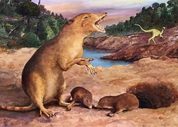 discovery of two columns due to the early dinosaur age of ours 122814