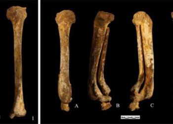 discovery of two murderous columns buried 3 000 years ago 120410