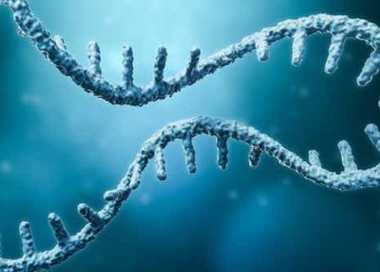 dna testing methods can detect multiple genetic diseases simultaneously 119440