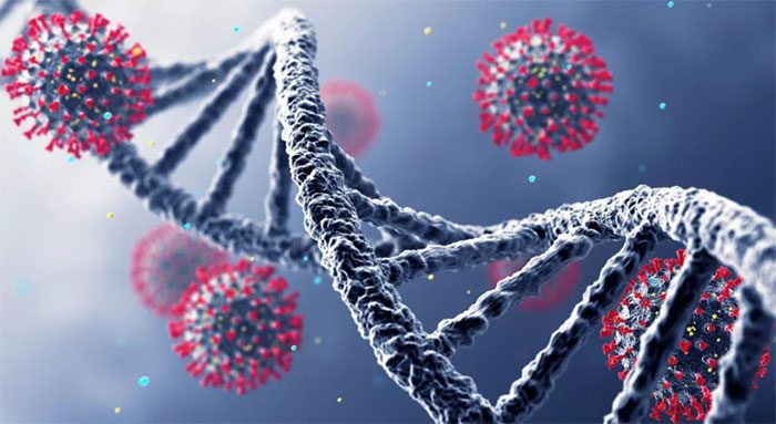 SARS-CoV-2 often mutates by deleting small sections of its genetic code