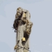 dog chasing horror movie hangs on electric pole disaster 118865
