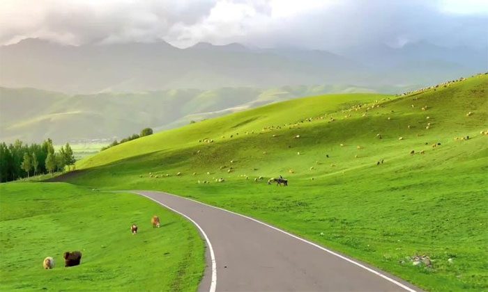 Nalati Grassland