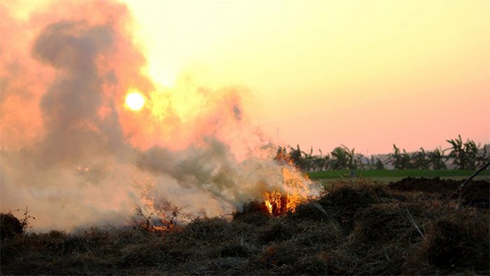 Burning straw is considered a significant cause of air pollution in Hanoi in recent days