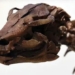 dragon flower dies just as heavenly dragon crashes into earth 119869
