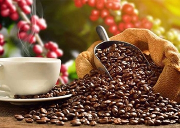 drinking coffee every day can help prevent gout 120505