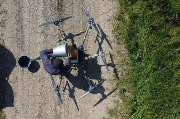 Drones can be used for sowing various types of seed crops.