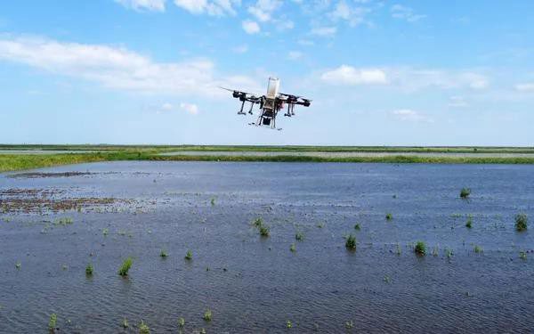 Farmers can apply this seeding method at any time of the day.