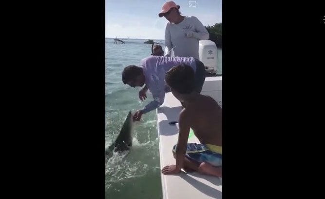 The shark bit down hard on Brett Reeder's hand, causing him to scream in pain.