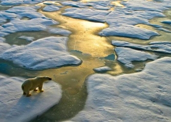 earth temperature could rise to 4 c by the end of this century 118578