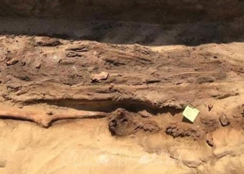 egypt detects many mummified bodies with golden netting 124397