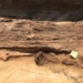 egypt detects many mummified bodies with golden netting 124397
