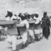egyptians demand equal rights for historical discoveries 124014
