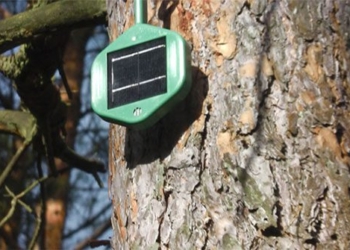 electronic sensors help early forest fire alerts 124154