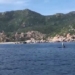 elephant appears in cam ranh 121377