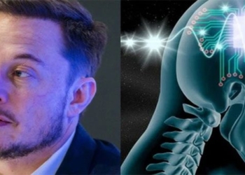 elon musks company prepares to implant chips into human brains to create superhumans 118486