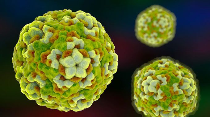 Computer-generated image of enterovirus D68.