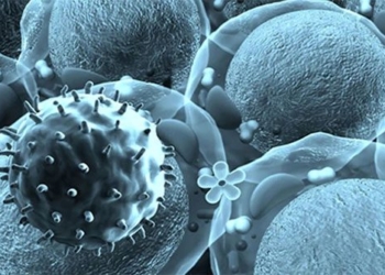 eternal song of the great tang legend reveals 15 000 year old virus never before known 123911