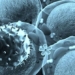 eternal song of the great tang legend reveals 15 000 year old virus never before known 123911