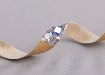 experimenting with computer chips containing recycled reishi mushroom and easily degradable materials 124393