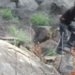 expert reptile burns tea from breaking processing channel when encountering giant tran khung 118268